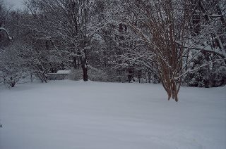 Lynn Gillette's album, Winter Wonderland