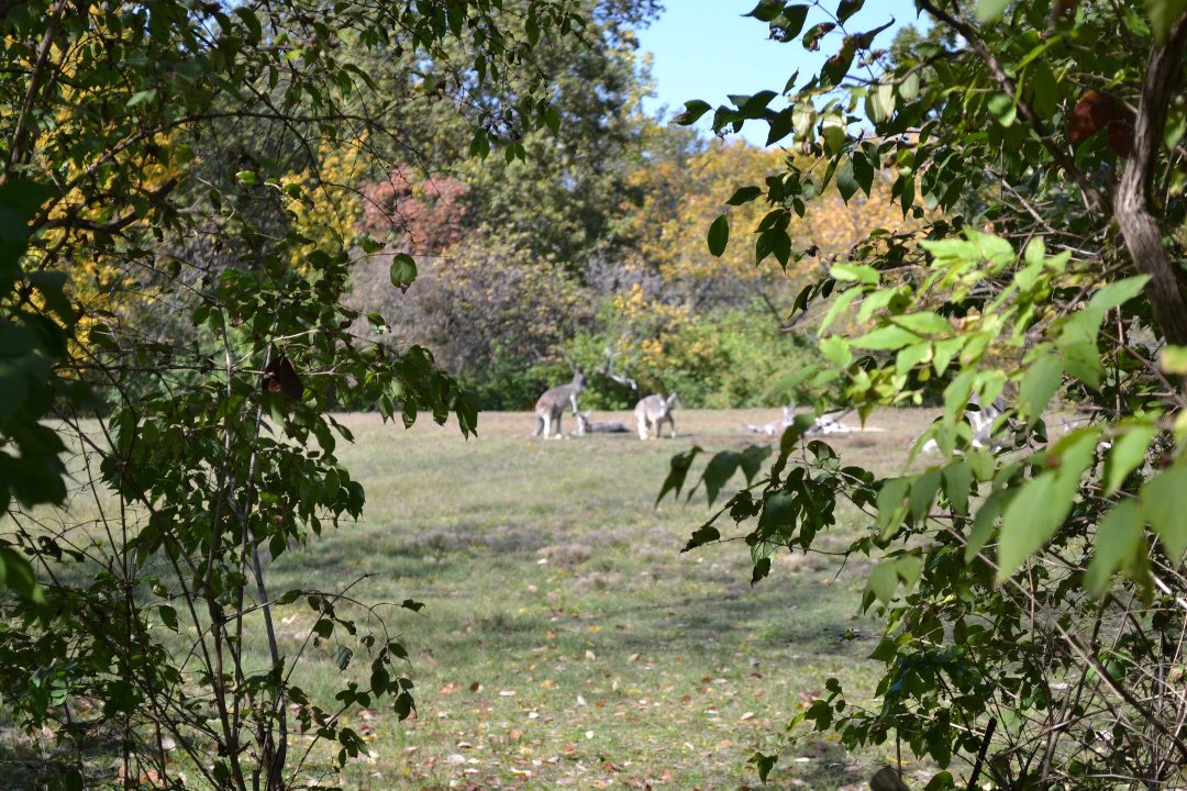 Chris Ames' album, Boys day at Zoo 2012