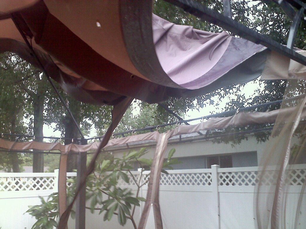 Cathy Runkle's album, Mobile Uploads