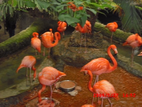 Terry Waters' album, Dallas World Aquarium