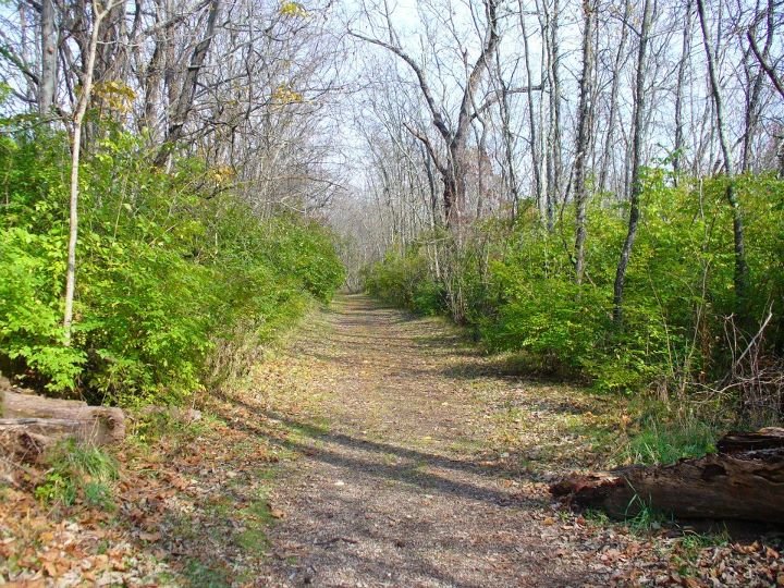 Jane Howard's album, John Bryan State Park, Clifton Gorge and Glen Helen