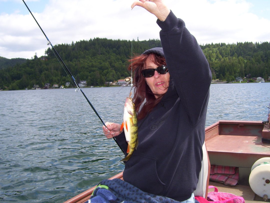 Vickie Lusher's album, Profile Pictures