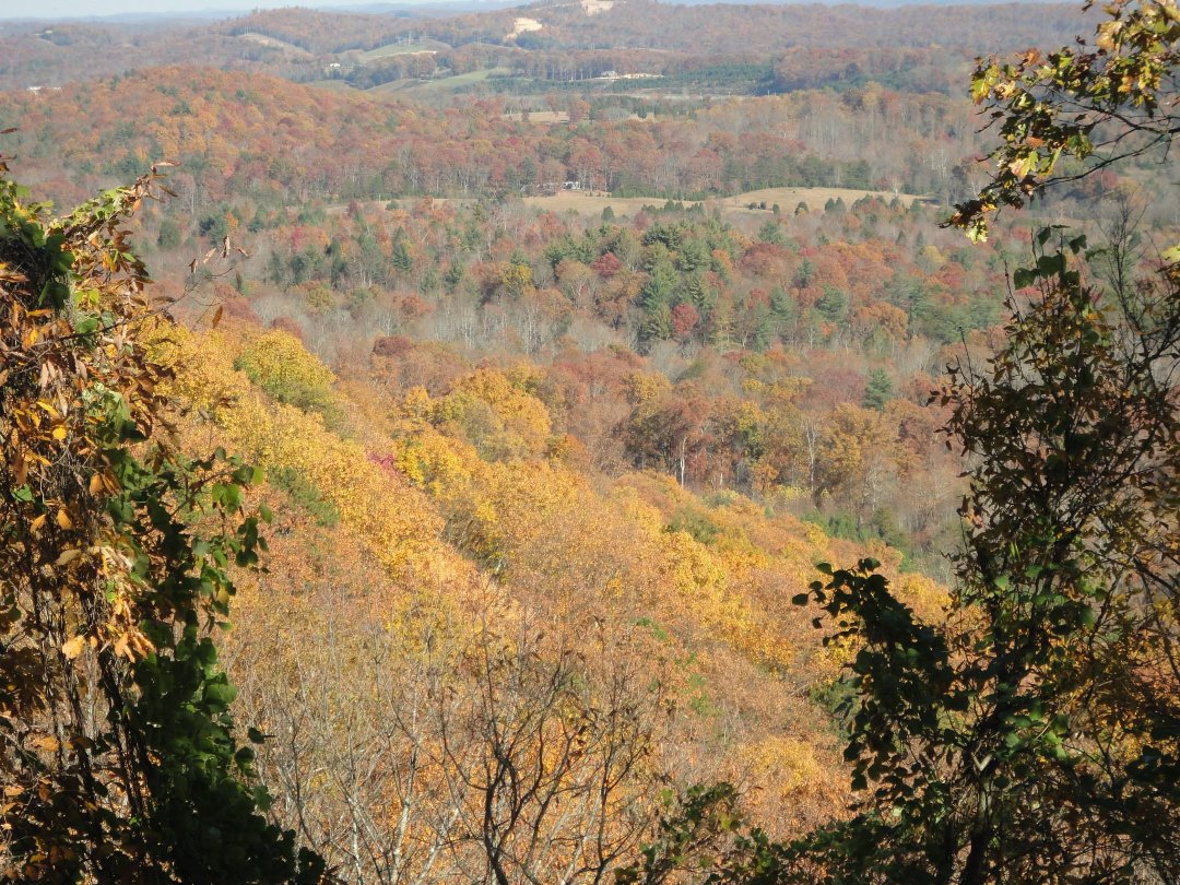 Sylvia Kizer's album, Smokey Mountains Trip 2012