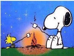 John Manning's album, Timeline Photos