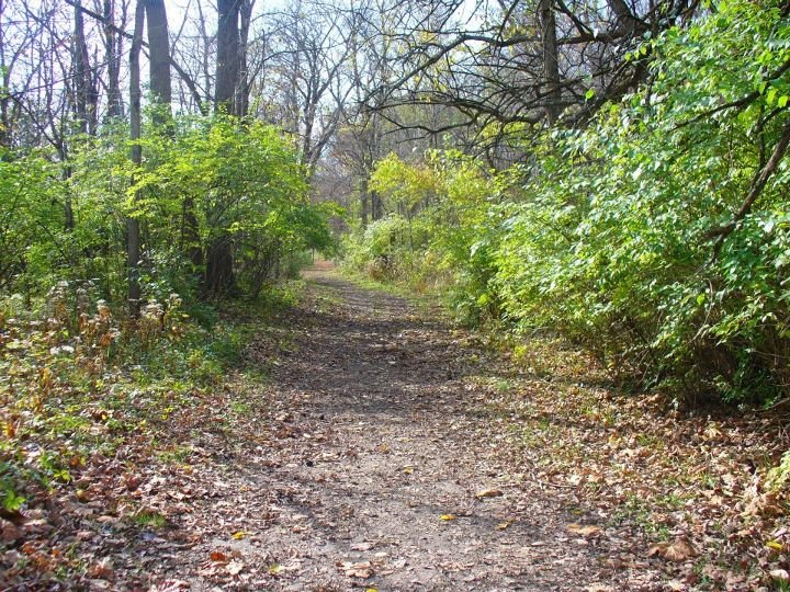 Jane Howard's album, John Bryan State Park, Clifton Gorge and Glen Helen