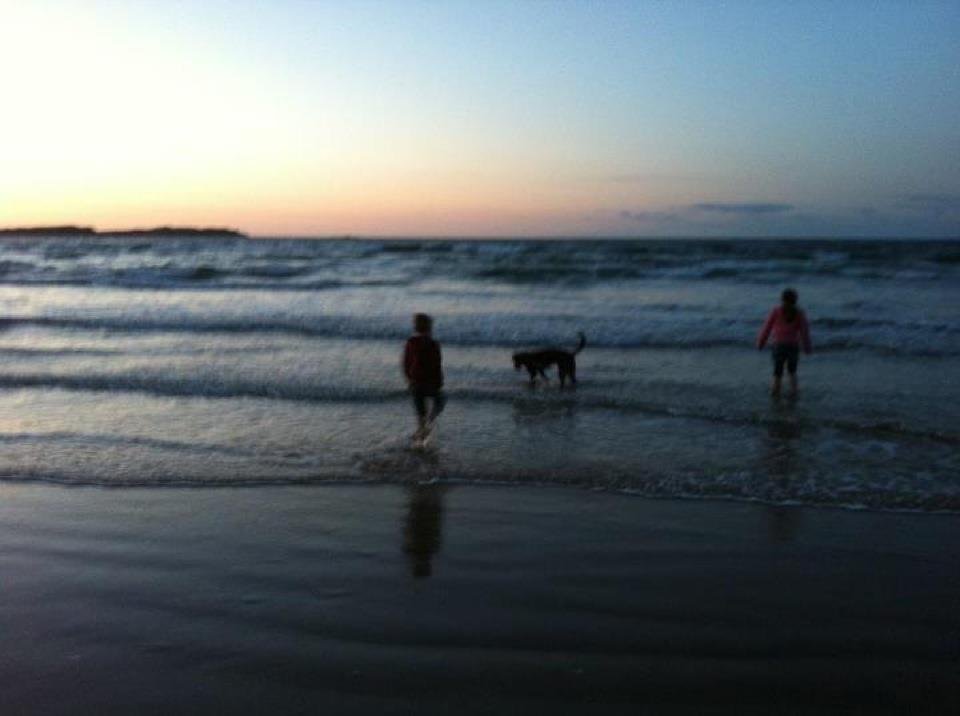Olive Gault's album, Cover Photos