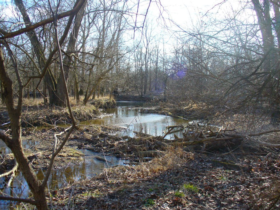 Jane Howard's album, John Bryan State Park, Clifton Gorge and Glen Helen