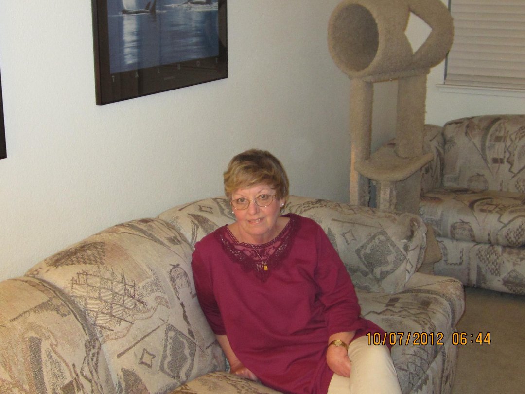 Sandra York's album, Profile Pictures