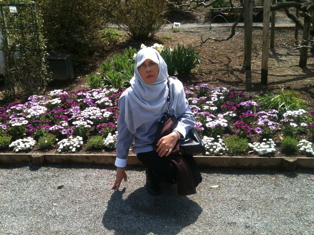 Robiah Adnan's album, Mobile Uploads
