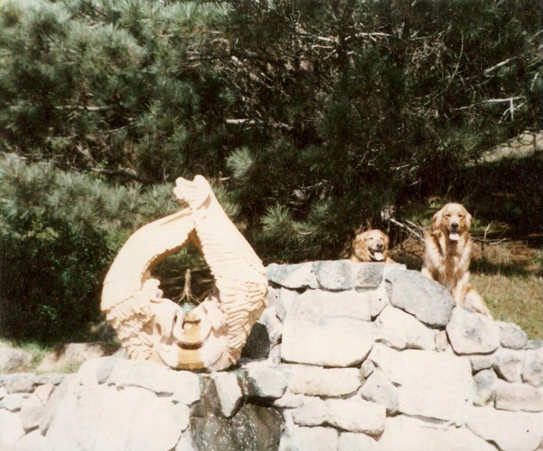 deborah evans' album, Cover Photos