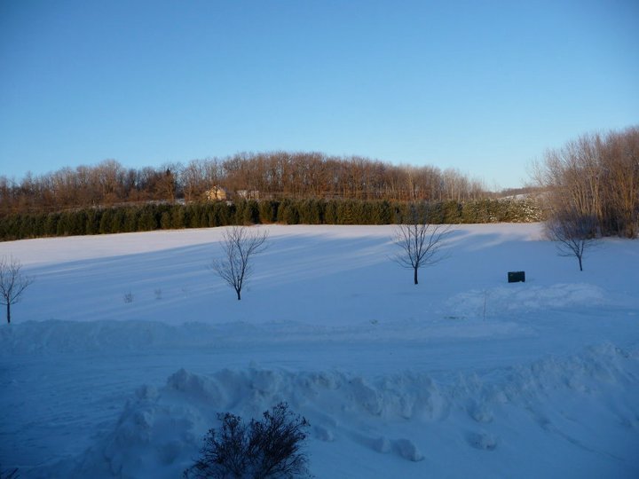 Daniel Czelatdko's album, Winter Storm Two 2011