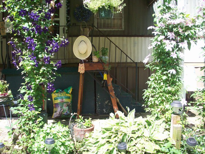 Paula Chevalier's album, My Patio