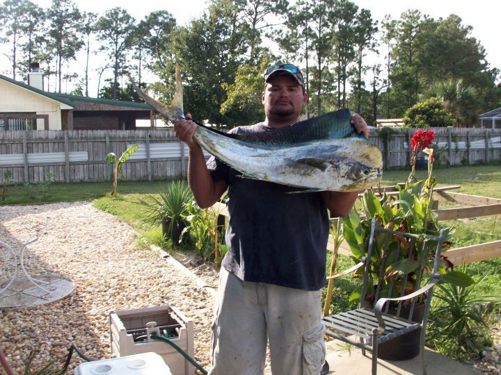 Jose Ojeda's album, fish