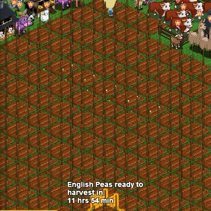 Susan Duncan's album, FarmVille Photos