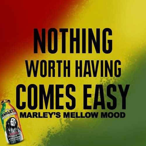 Shallian Johnson's album, Cover Photos