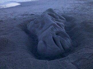 Michael Ludwig's album, Santa Cruz Sand Sculpture