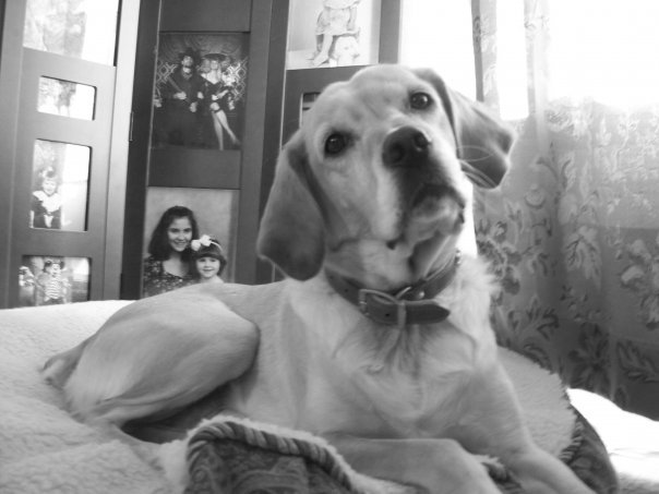 Margo Gibson's album, Best of buddy