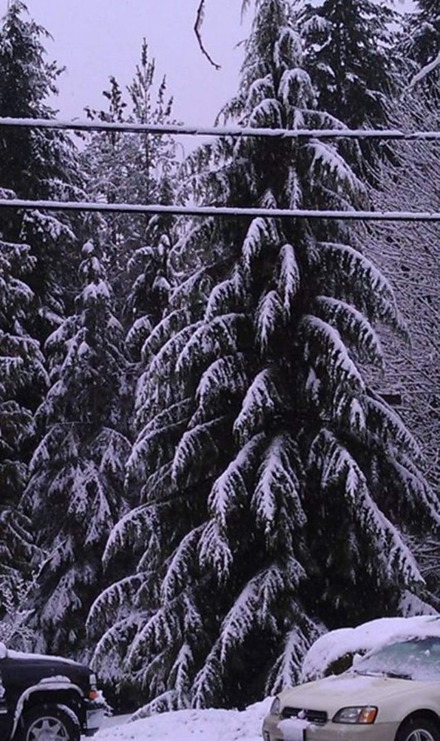 Ramona Davis' album, Fall / WINTER