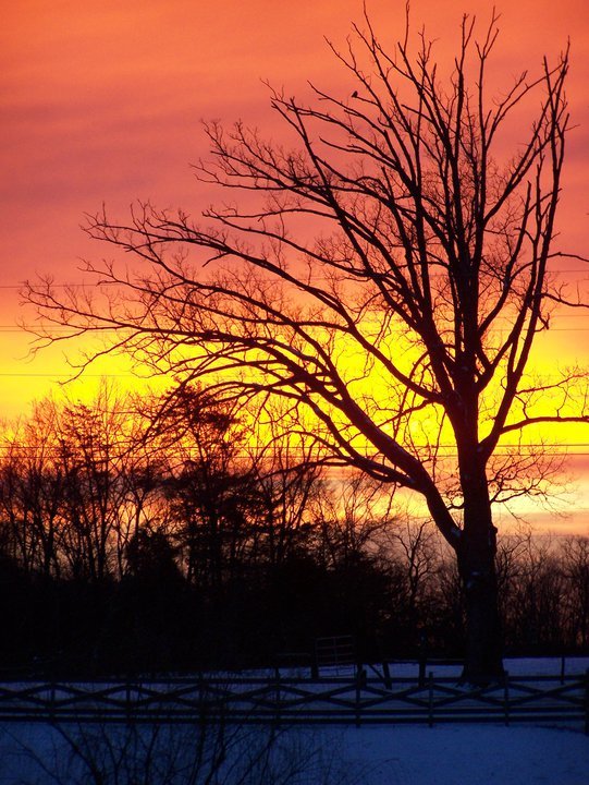 Glenna Hardy's album, sunrise-sunsets