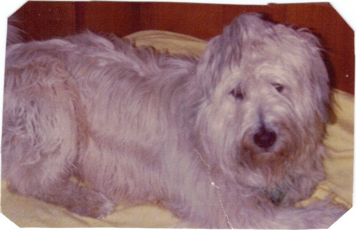 Robert Mallardo's album, Spike