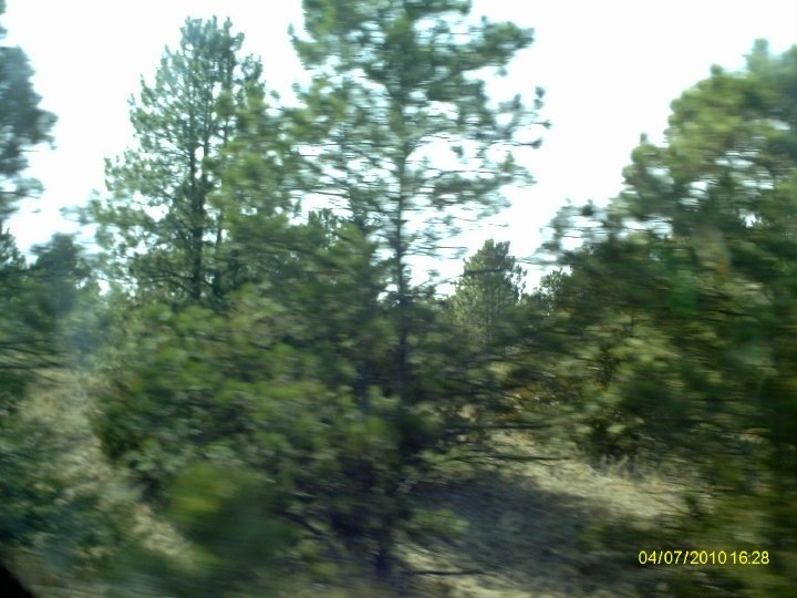 Douglas Heller's album, SpringBreak 2010 - Day 3