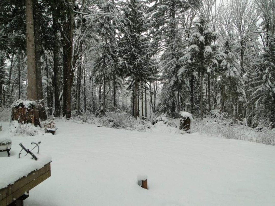 Coralee Green's album, Snow 2/2011