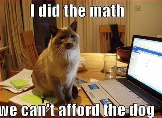 Karen Callanan's album, Timeline Photos