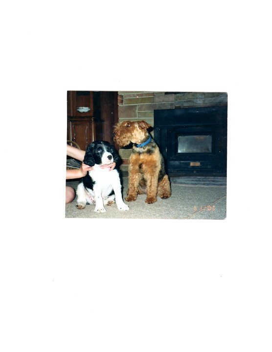 George Biedermann's album, Profile Pictures