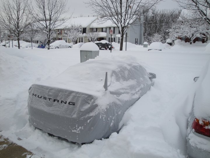 Bruce Van Duzer's album, February 6, 2010 Snowstorm
