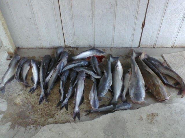 Bryane Friend's album, Fishing October 1, 2011