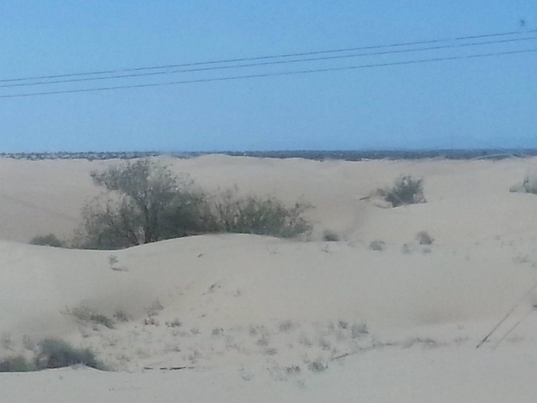 Robert Durfee's album, California with people