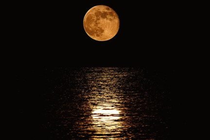 Don Womack's album, Cover Photos
