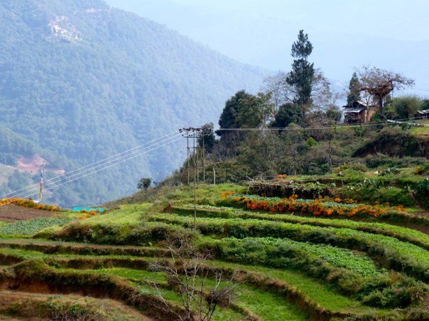 Ella Solomons' album, Bhutan
