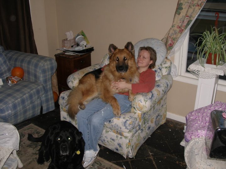 Todd Powell's album, our pets