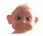 David Sollberger's album, Profile Pictures