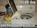 Sharon Lane's album, Timeline Photos
