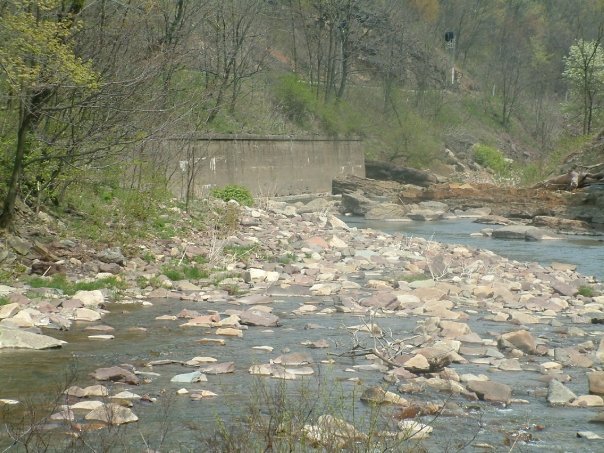 Gregory Condio's album, Fishing Wills Creek