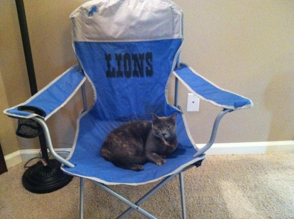 Matthew Thomas' album, Profile Pictures