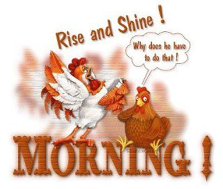Sharon Lane's album, Timeline Photos