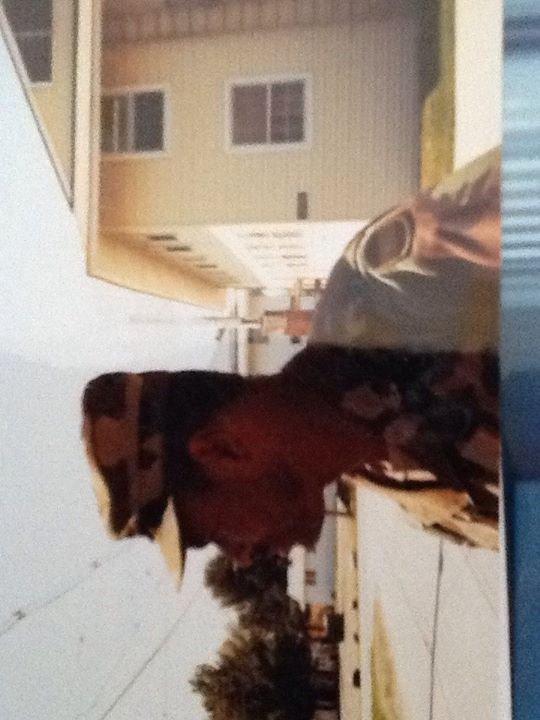 raymond ford's album, iOS Photos