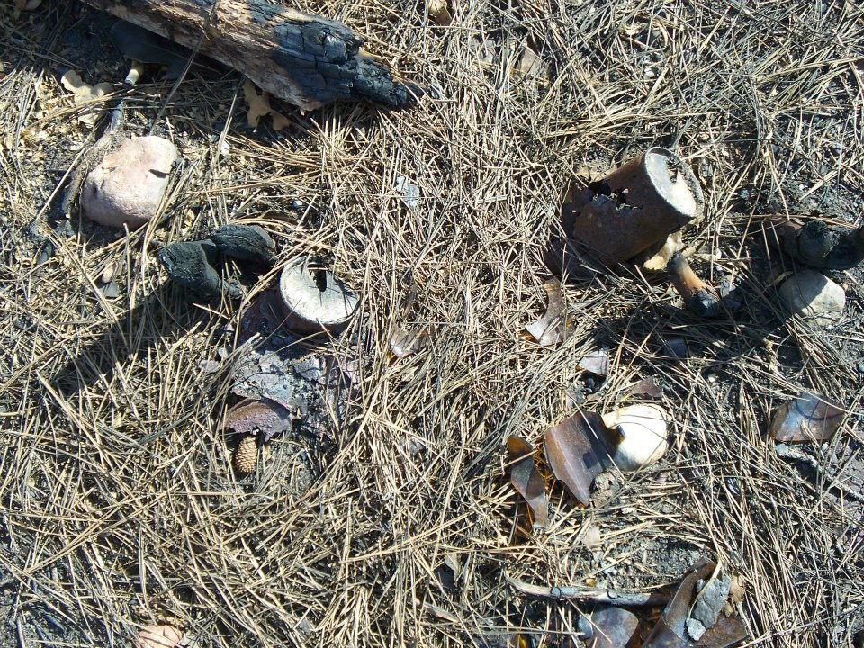 Al Brien's album, Bastrop Roadside Fire Damage