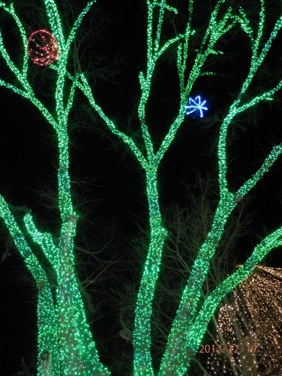 Kim Carlton's album, Lights of the Ozarks