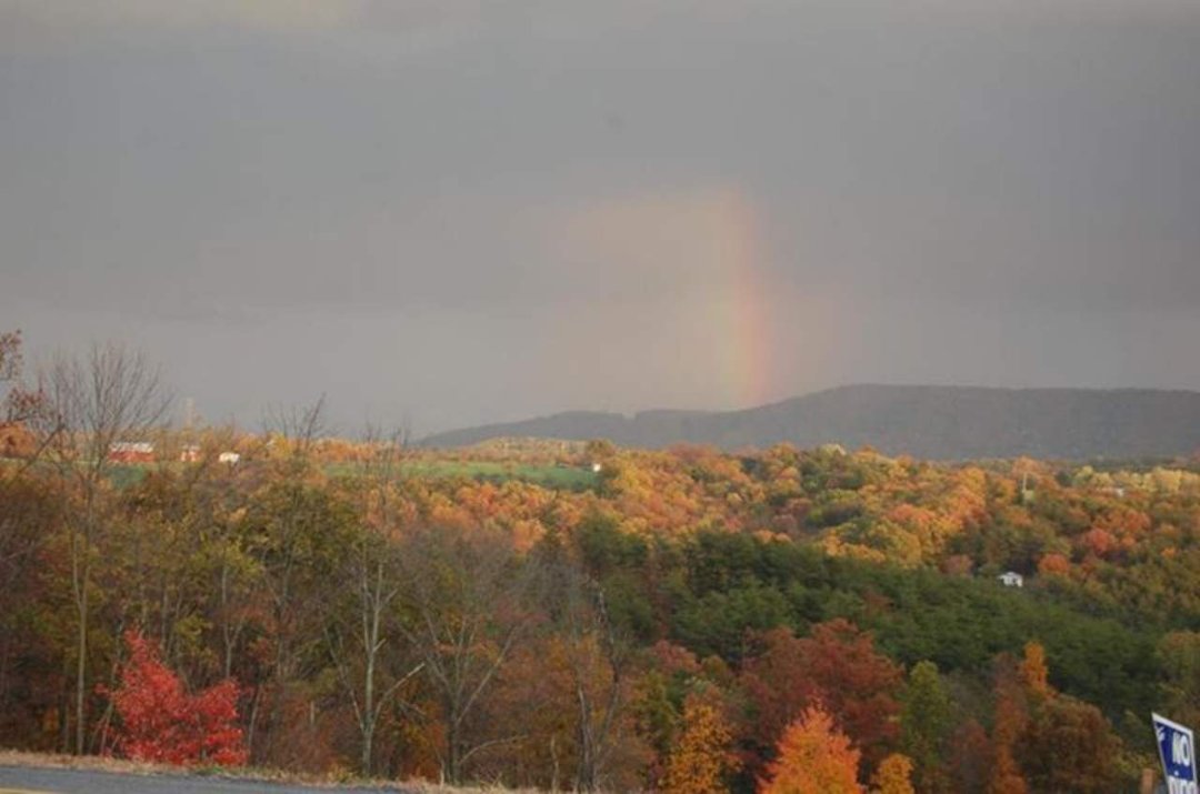 Lisa Parrill's album, Cover Photos