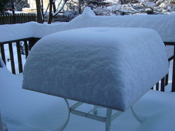 Donald Swan's album, Blizzard_12_2009
