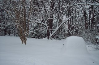 Lynn Gillette's album, Winter Wonderland