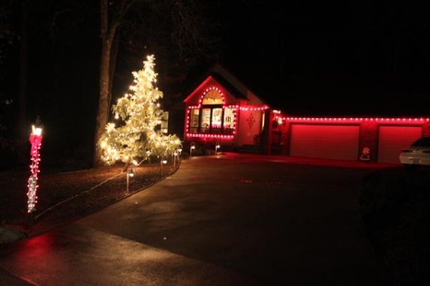 Dennis Bashor's album, Christmas 2009 lights and pets