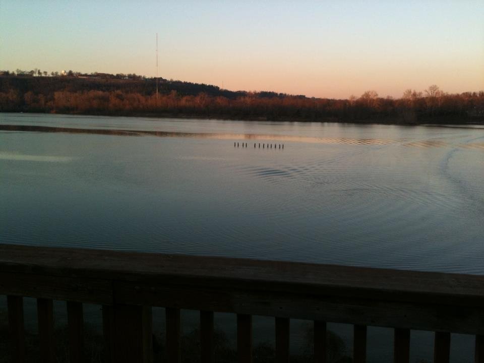 Carl Bush's album, Mobile Uploads