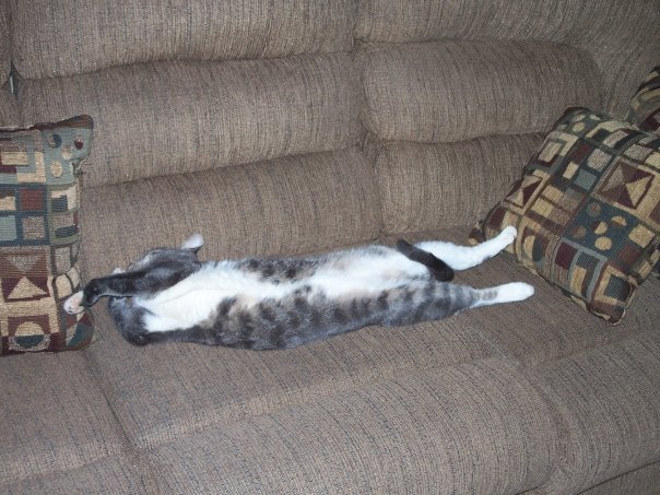 Gayle Bailey's album, Sassy Cat