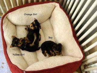 Claudia Kroll's album, Timeline Photos