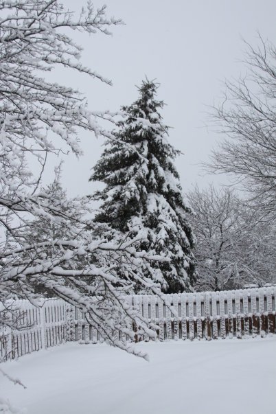 Stacey Smith's album, Weekend Storm 2010